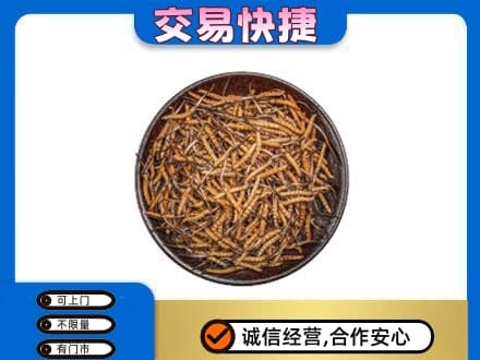 阳江阳西县高价回收散虫草